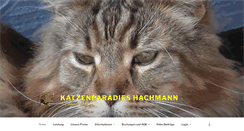 Desktop Screenshot of katzenparadies-hachmann.de