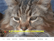 Tablet Screenshot of katzenparadies-hachmann.de